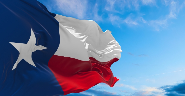 Texas Flag waving in the wind